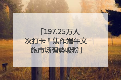 197.25万人次打卡！焦作端午文旅市场强势吸粉