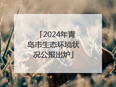 2024年青岛市生态环境状况公报出炉