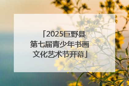 2025巨野县第七届青少年书画文化艺术节开幕