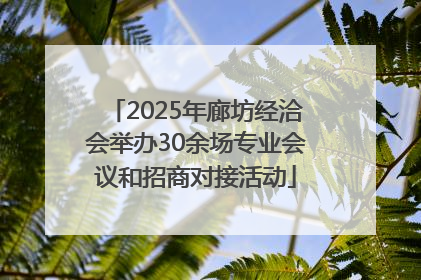 2025年廊坊经洽会举办30余场专业会议和招商对接活动