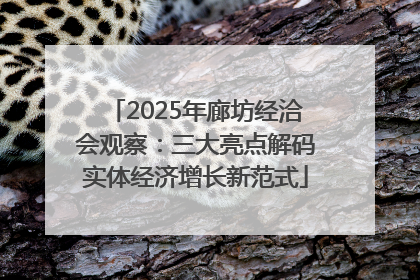 2025年廊坊经洽会观察：三大亮点解码实体经济增长新范式