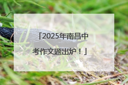 2025年南昌中考作文题出炉！