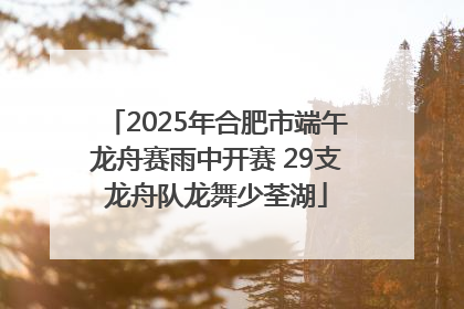 2025年合肥市端午龙舟赛雨中开赛 29支龙舟队龙舞少荃湖