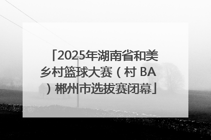 2025年湖南省和美乡村篮球大赛（村 BA）郴州市选拔赛闭幕