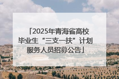 2025年青海省高校毕业生“三支一扶”计划服务人员招募公告