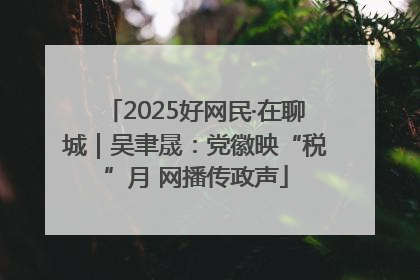 2025好网民·在聊城｜吴聿晟：党徽映“税”月 网播传政声