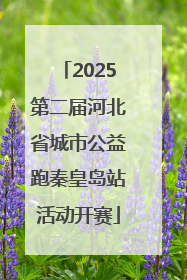 2025第二届河北省城市公益跑秦皇岛站活动开赛