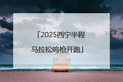2025西宁半程马拉松鸣枪开跑