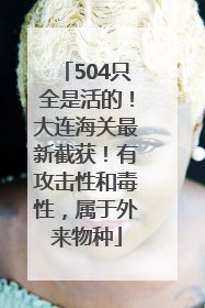 504只全是活的！大连海关最新截获！有攻击性和毒性，属于外来物种