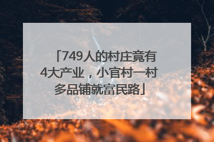 749人的村庄竟有4大产业，小官村一村多品铺就富民路