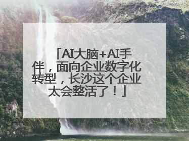AI大脑+AI手伴，面向企业数字化转型，长沙这个企业太会整活了！