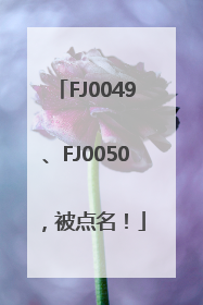 FJ0049、FJ0050，被点名！